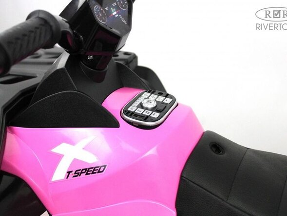 Детский электроквадроцикл T001TT 4WD Лицензия